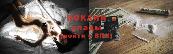 ешки Гусев