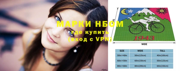 ешки Гусев