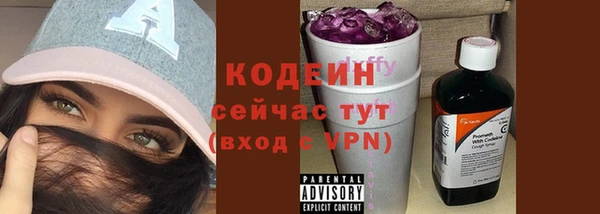 мяу мяу кристалл Гусь-Хрустальный