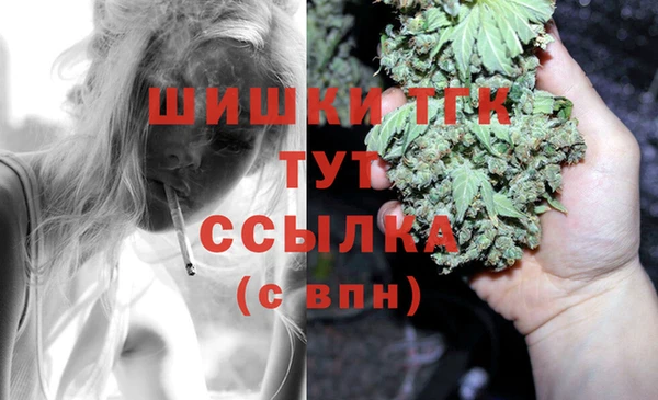 мяу мяу кристалл Гусь-Хрустальный