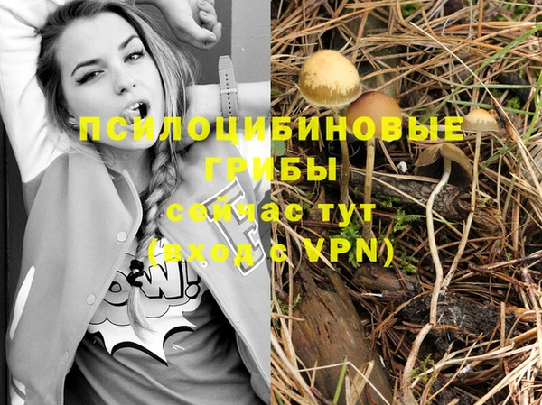 ешки Гусев