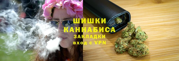 ешки Гусев
