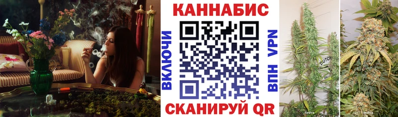 Купить где  Аргун  Бошки Шишки MAZAR 